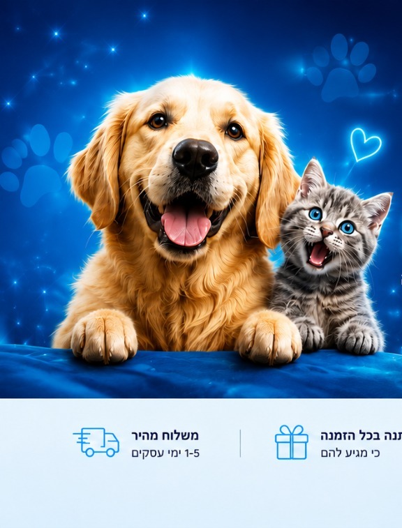 עיצוב דף הבית