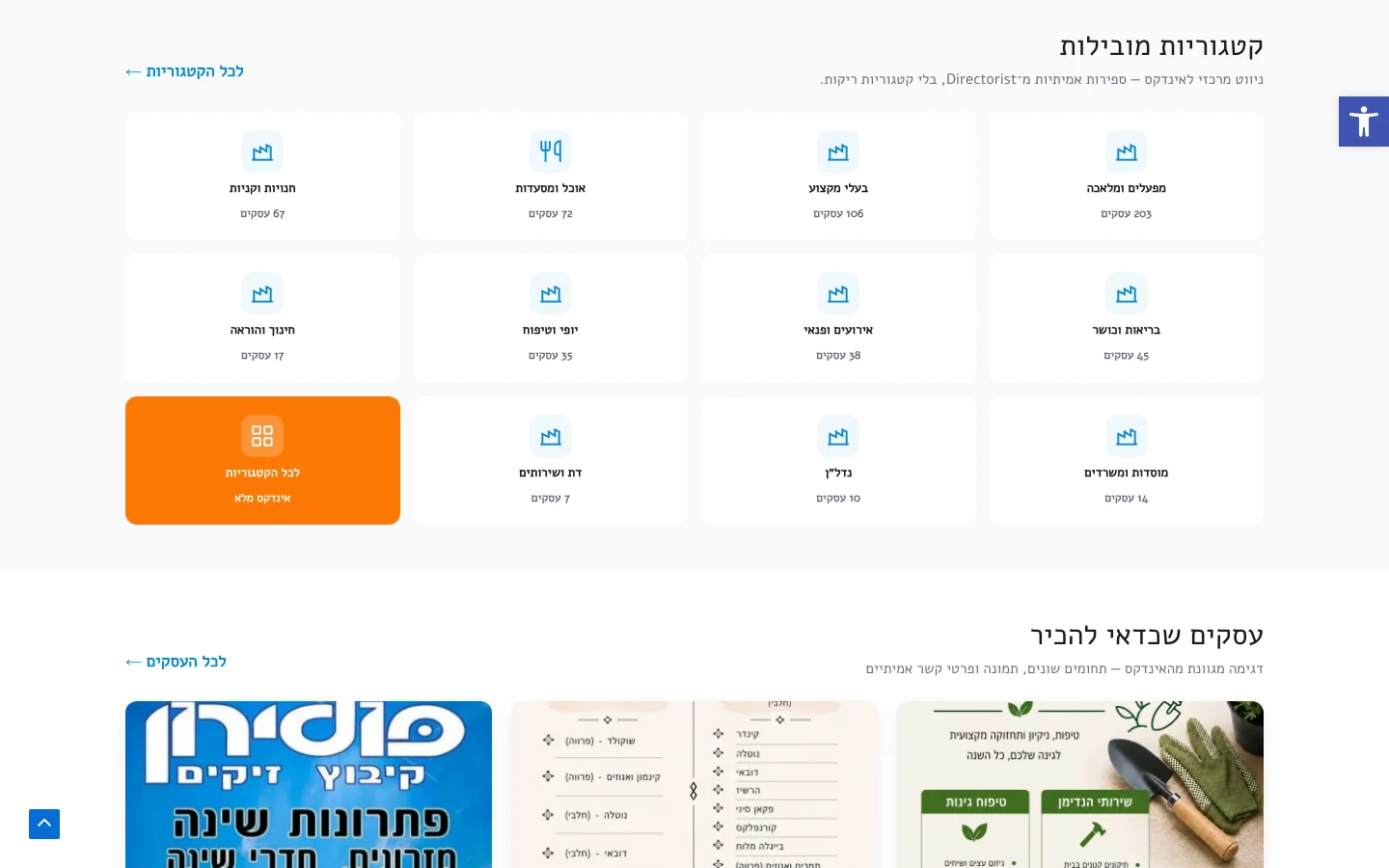 מקטע מהאתר של MeAriel